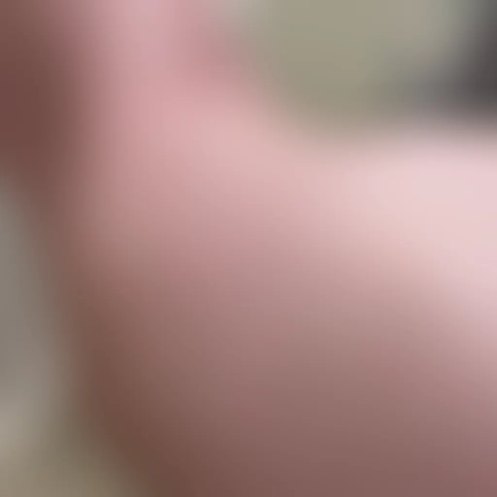 Slide image 2
