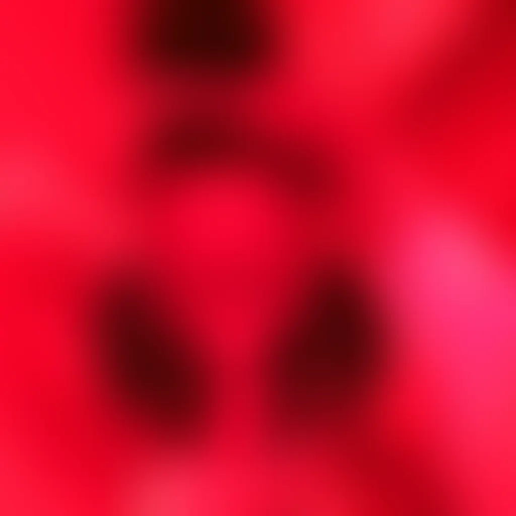 Slide image 3