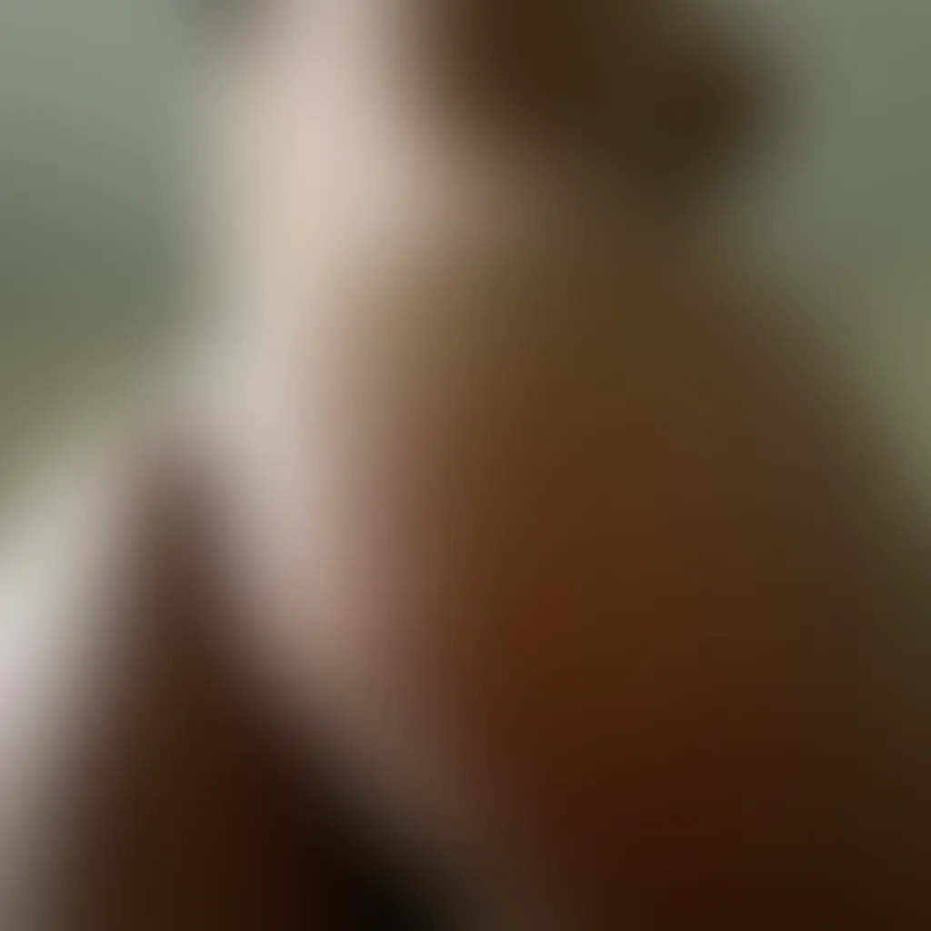 Slide image 2