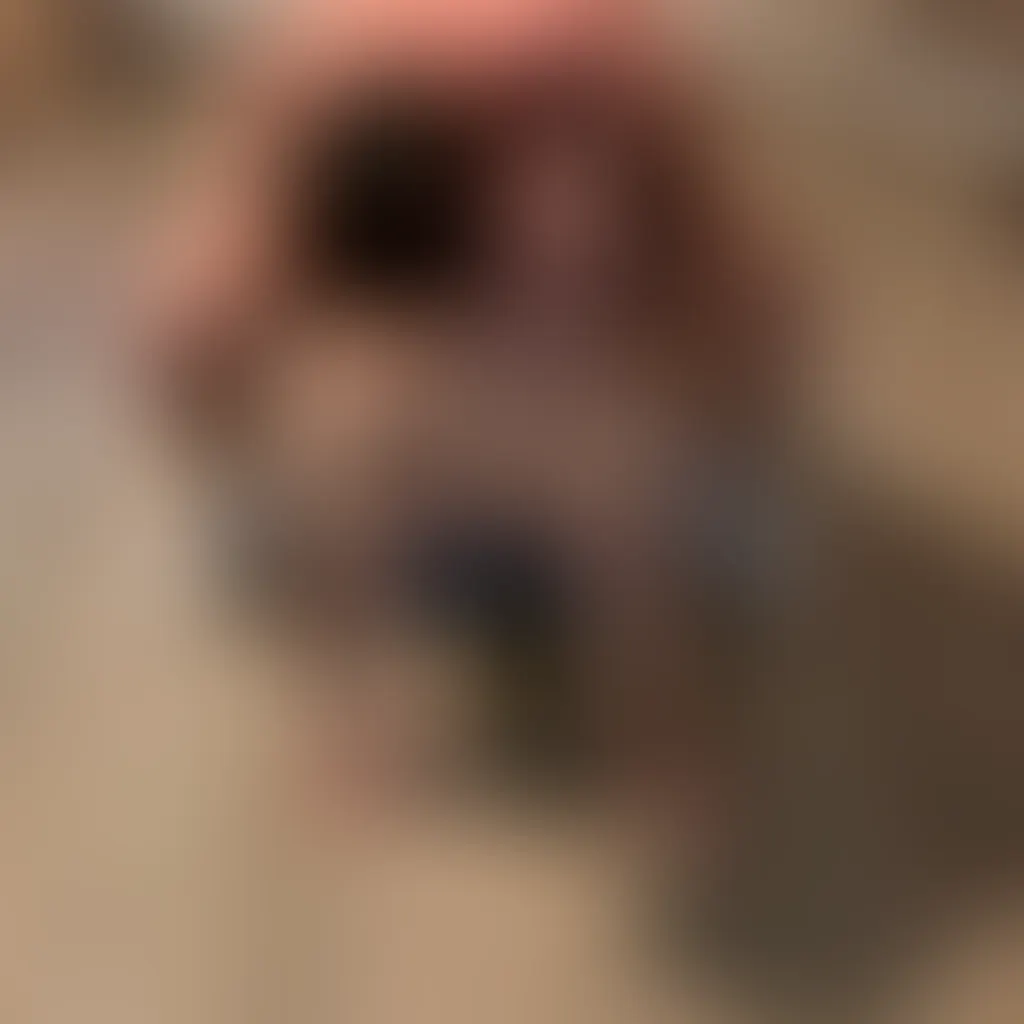 Slide image 1