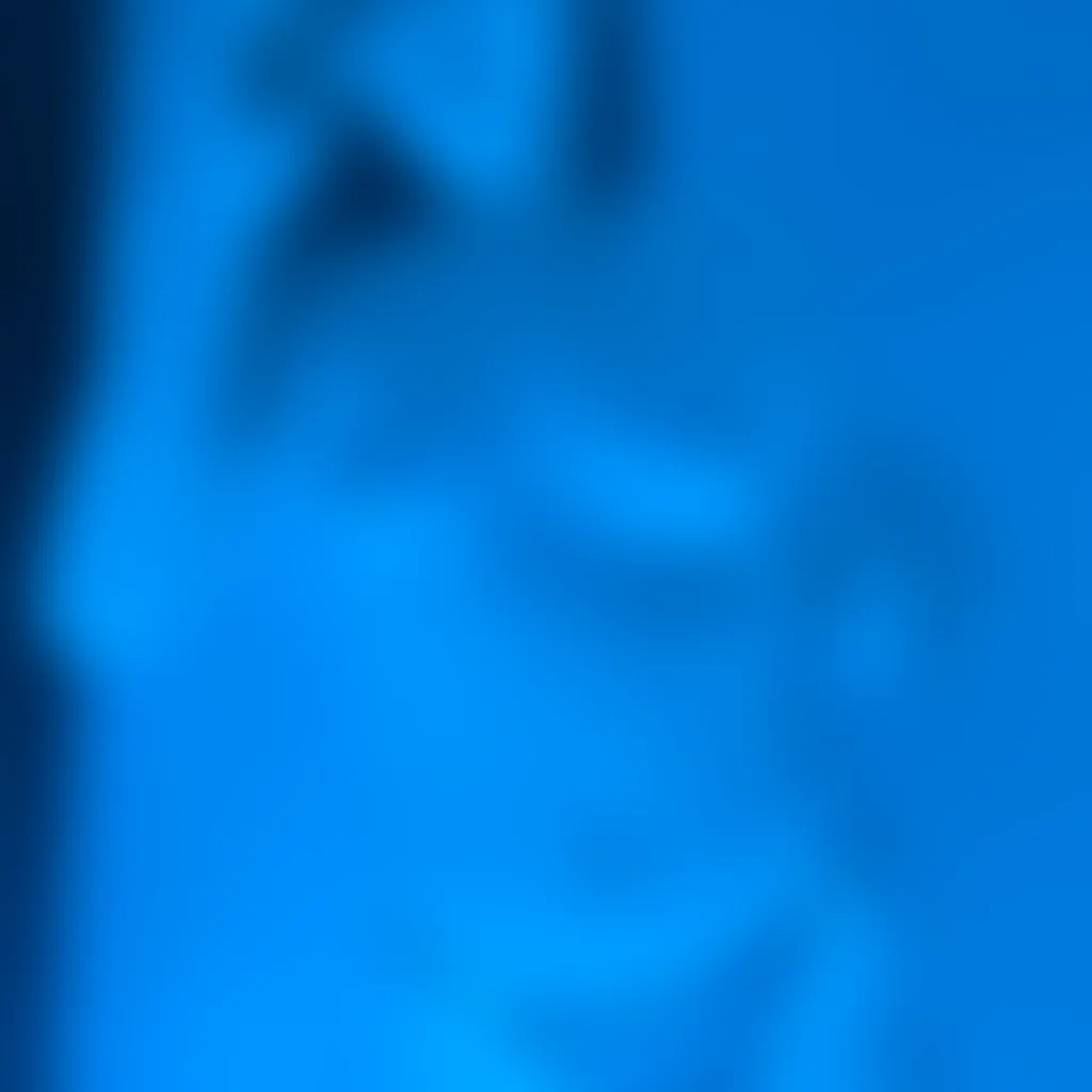 Slide image 6