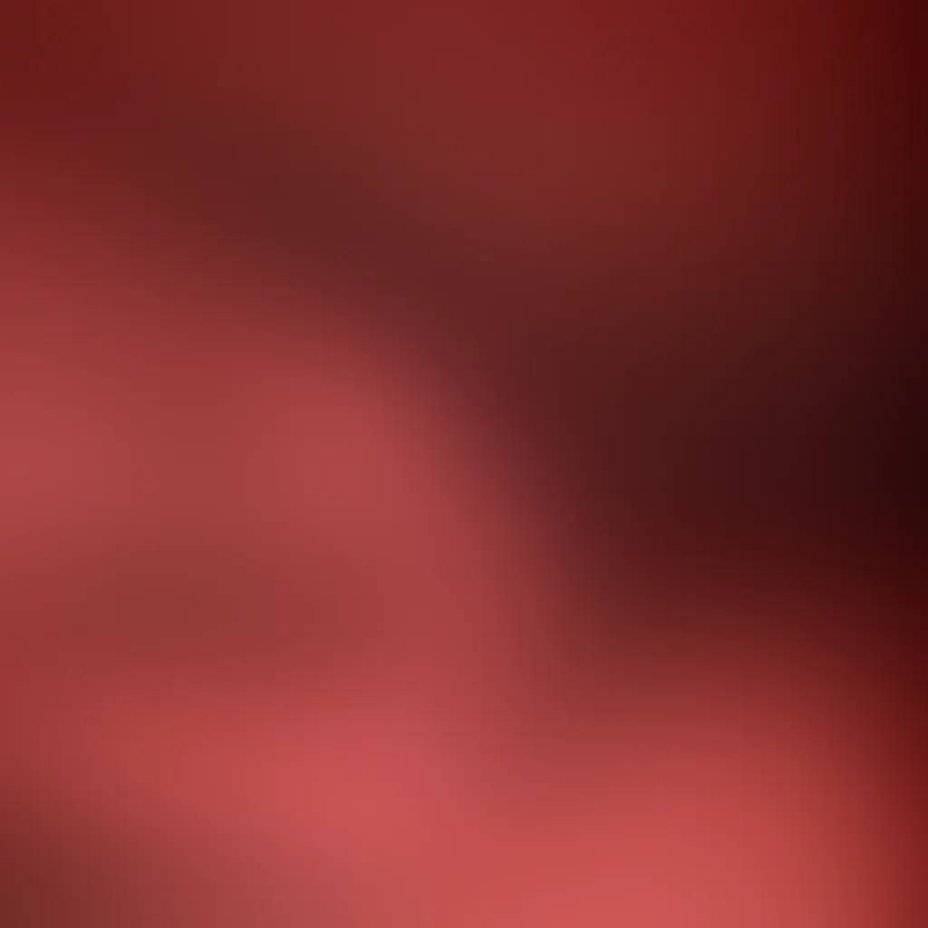 Slide image 2