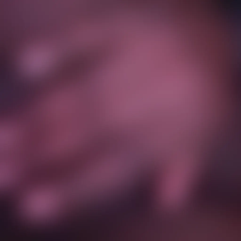 Slide image 2