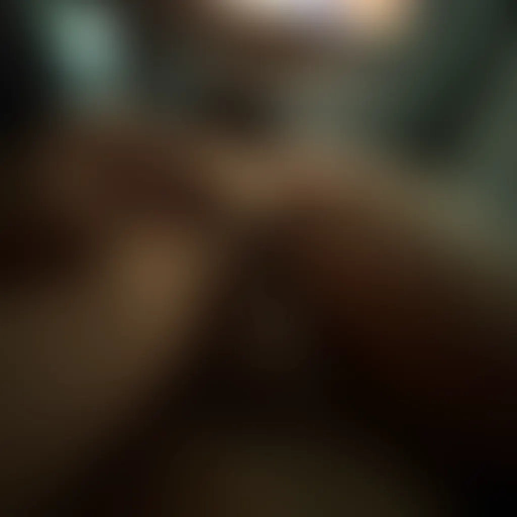 Slide image 2