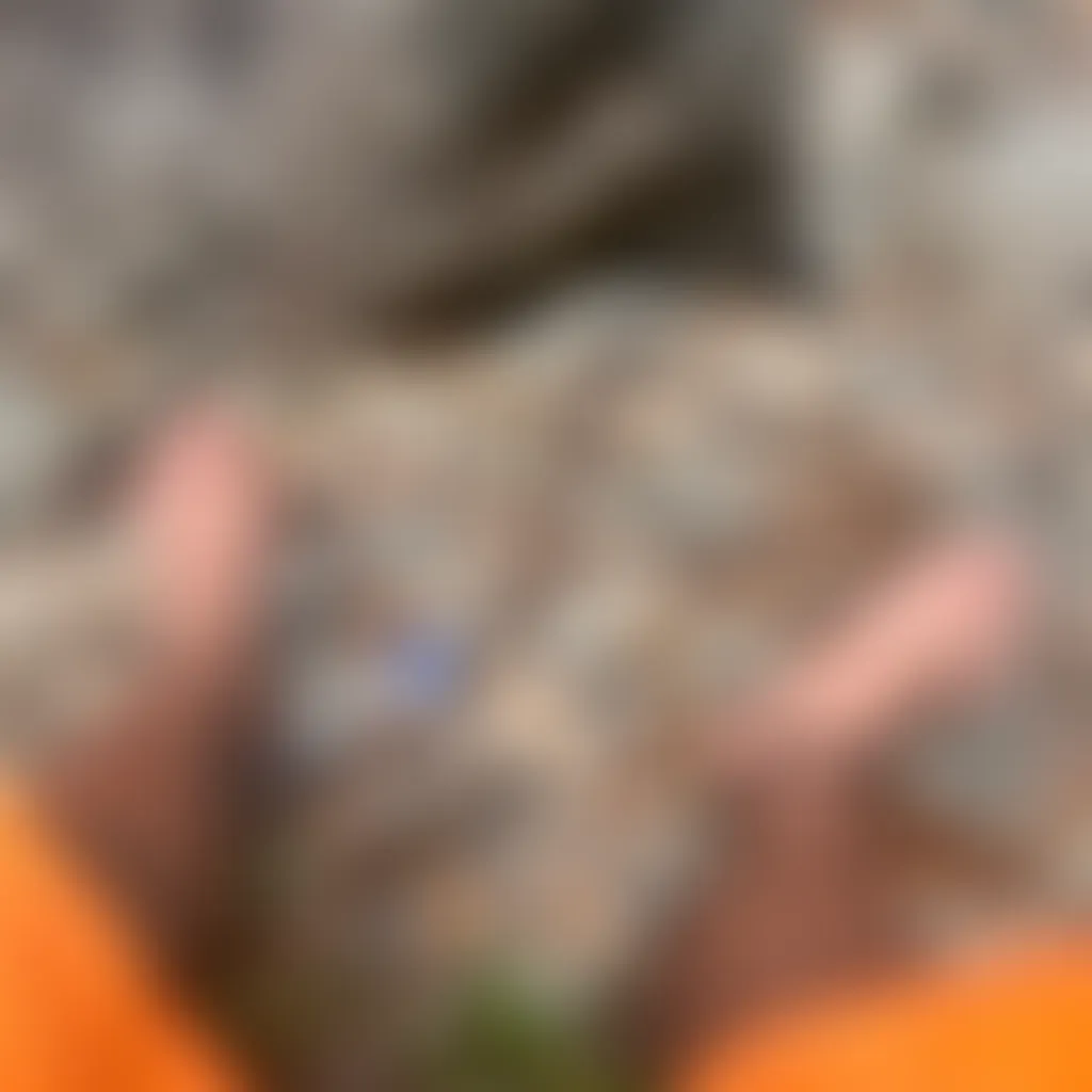 Slide image 6
