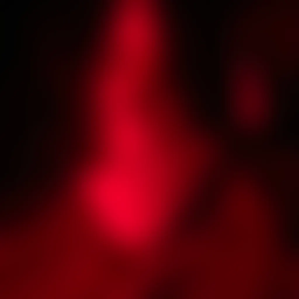 Slide image 2