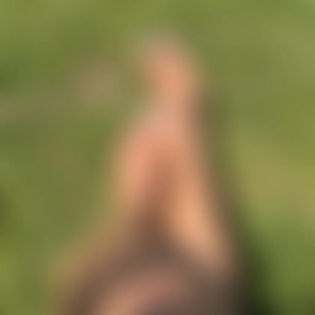 Slide image 2