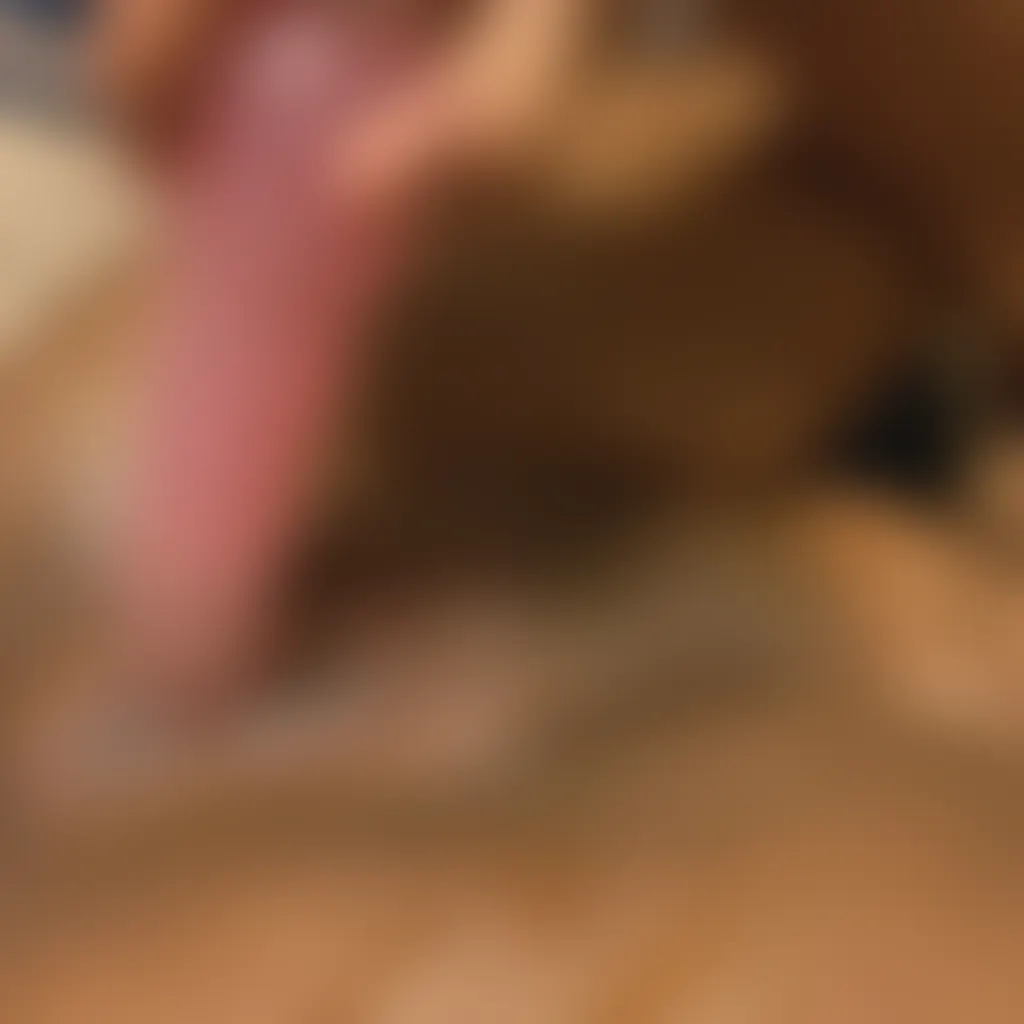 Slide image 2