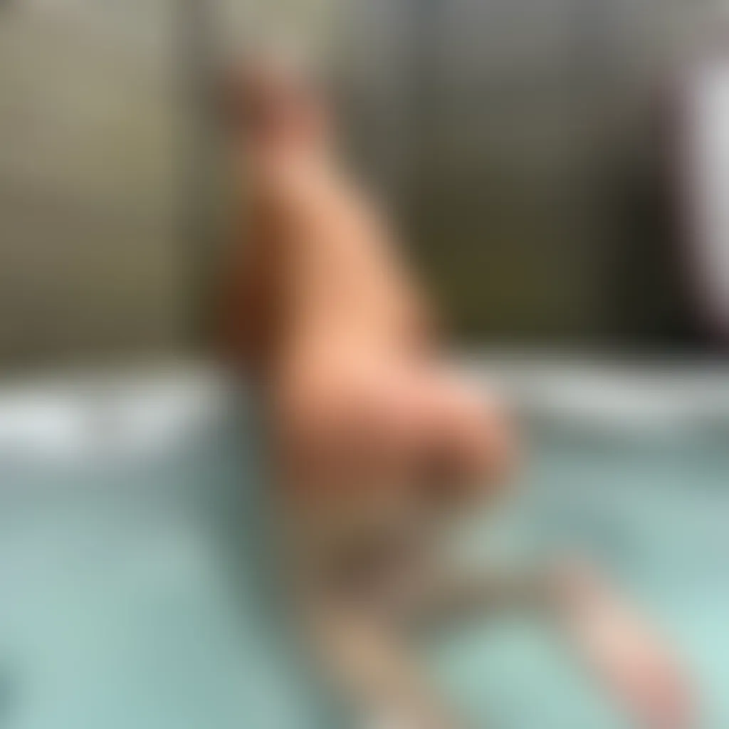 Slide image 9