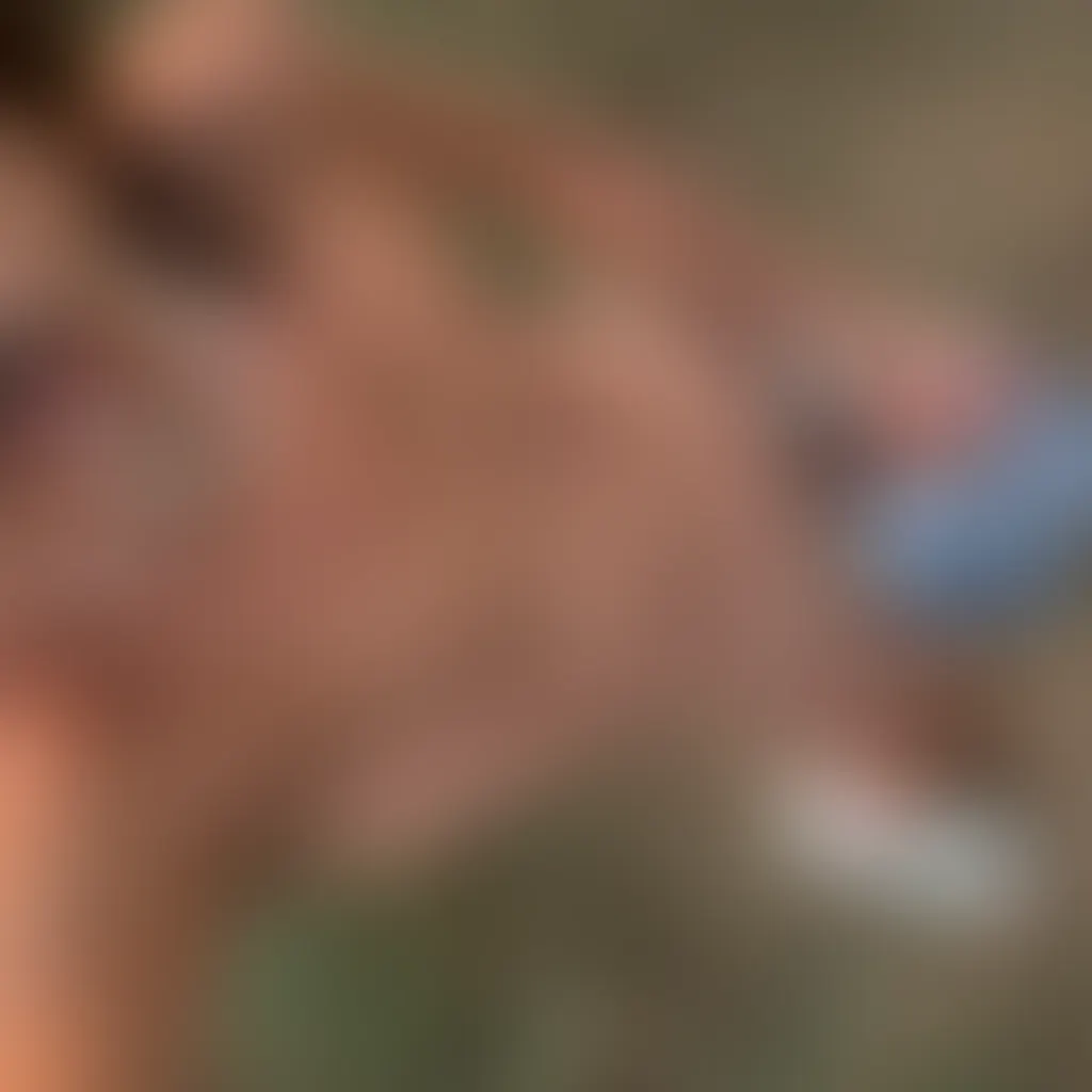 Slide image 9