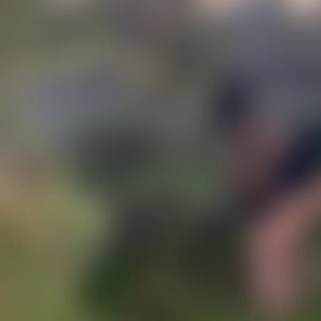 Slide image 2