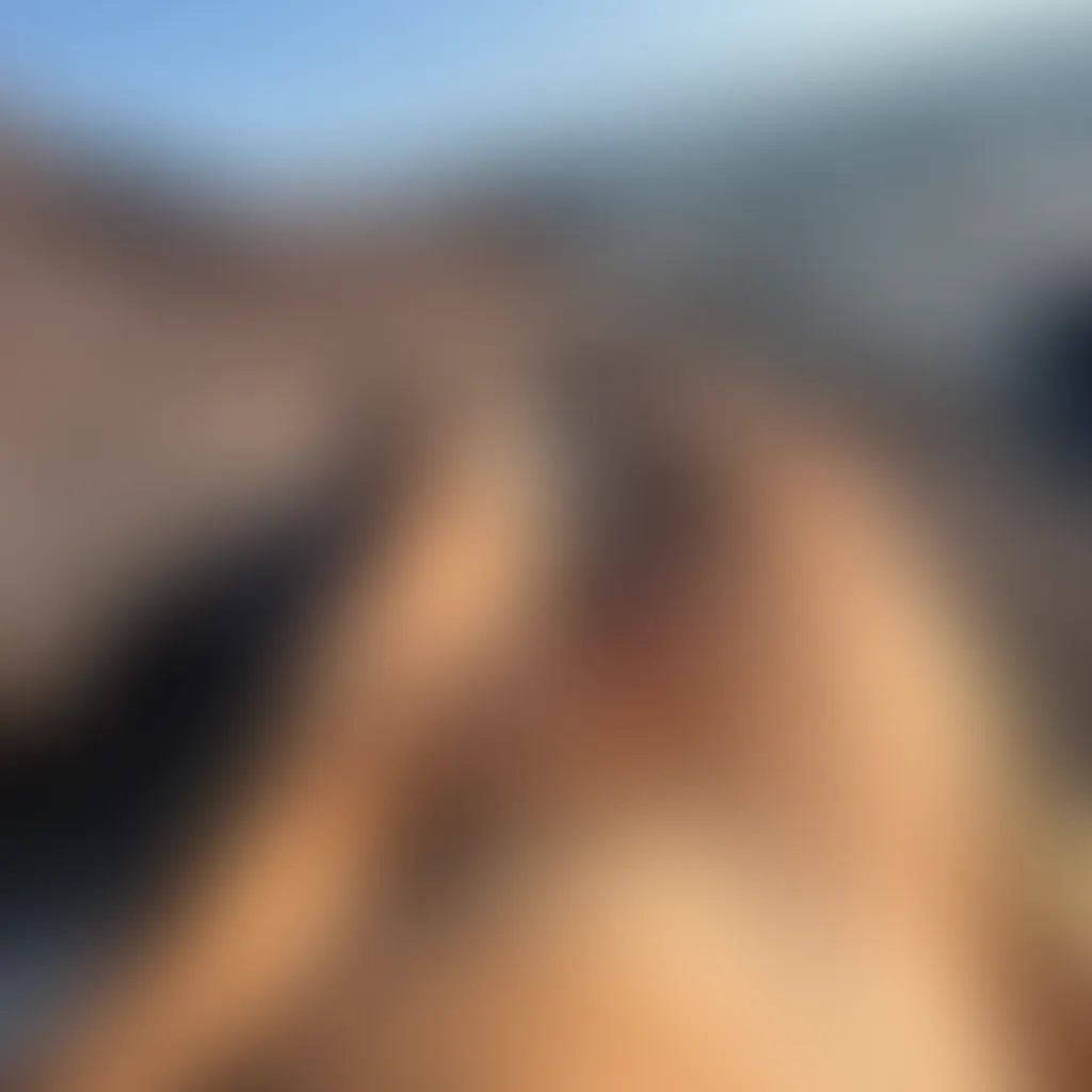 Slide image 1