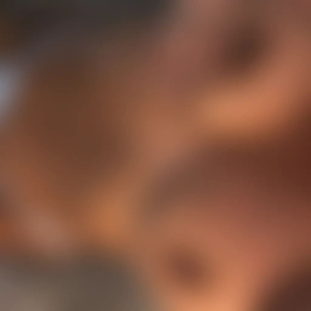 Slide image 9
