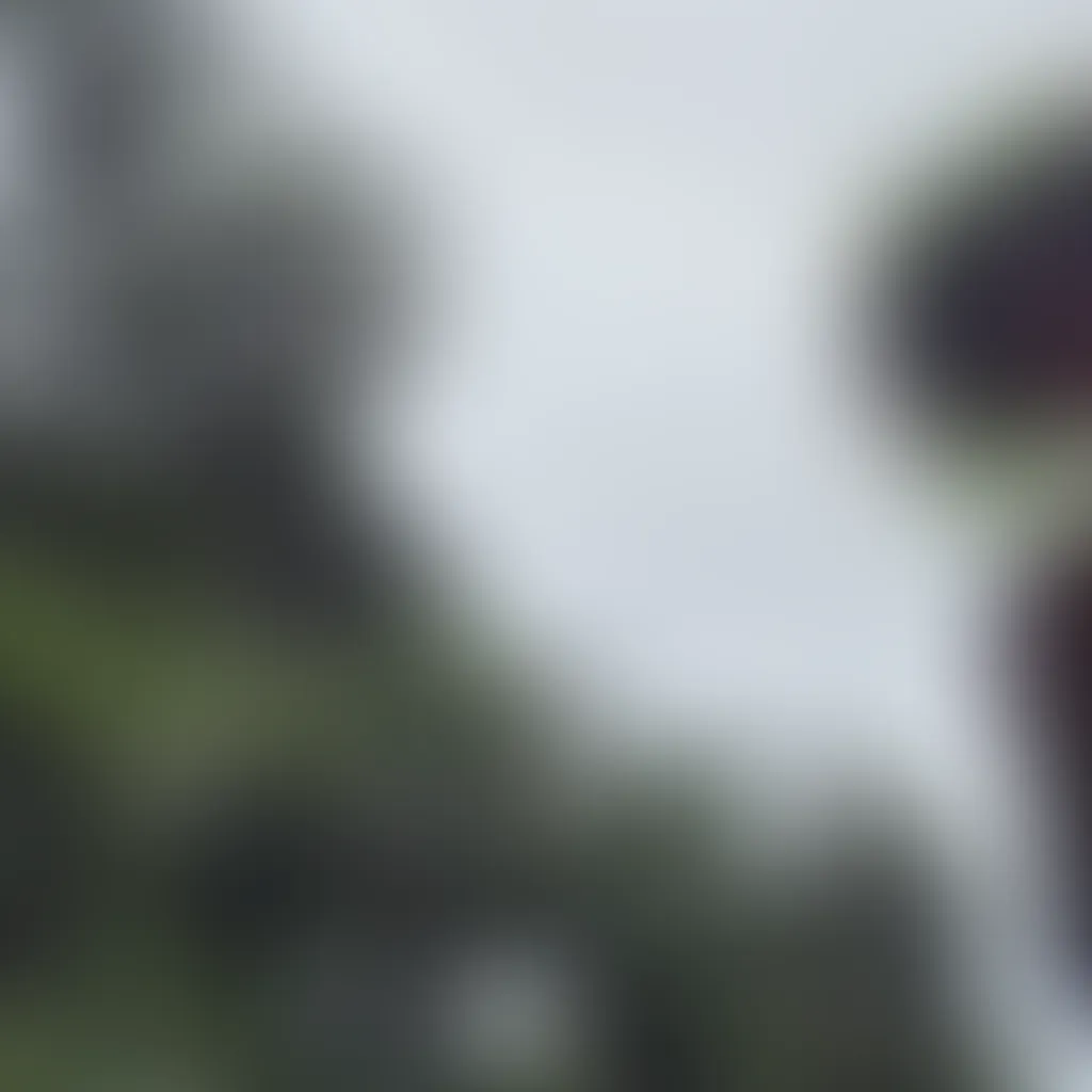 Slide image 1
