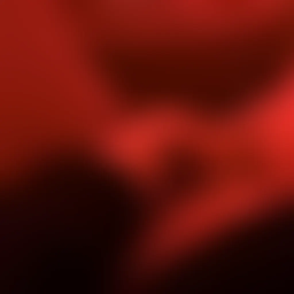 Slide image 6