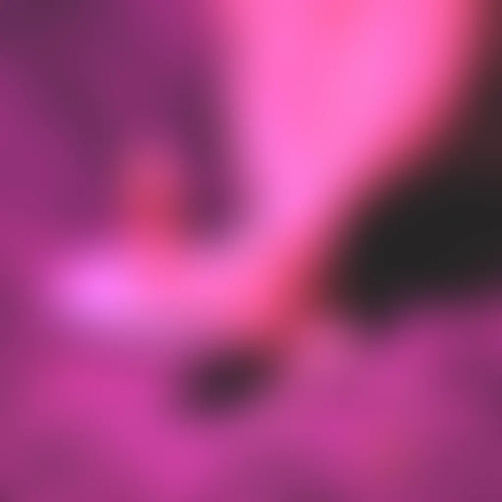 Slide image 6