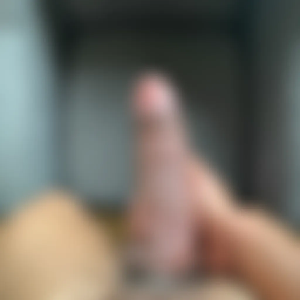 Slide image 4
