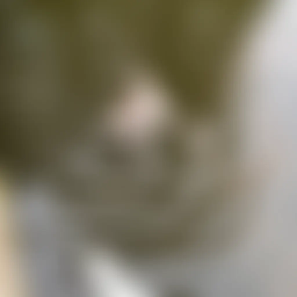 Slide image 1