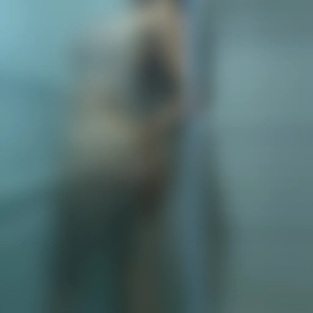 Slide image 2