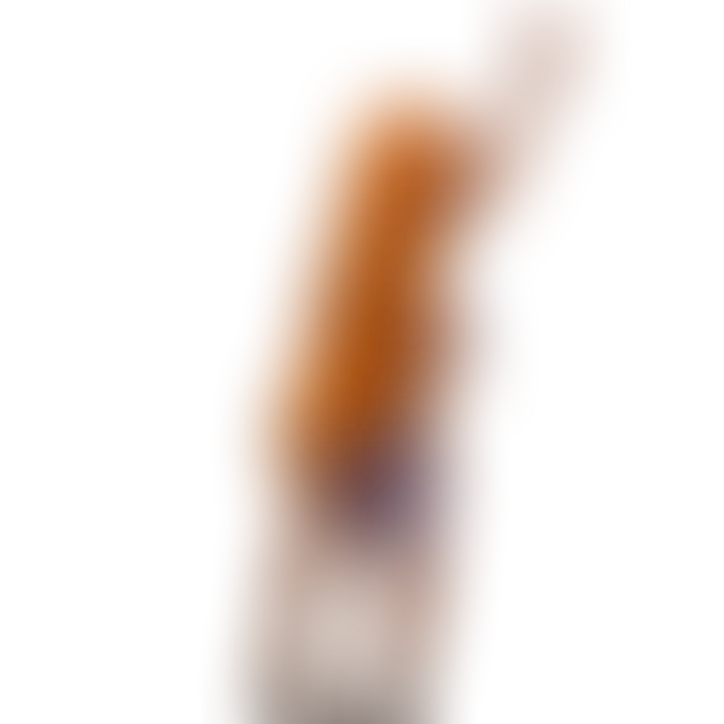 Slide image 1