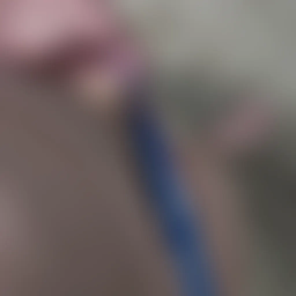 Slide image 1