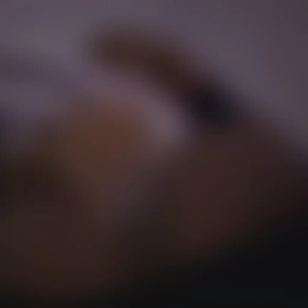 Slide image 2