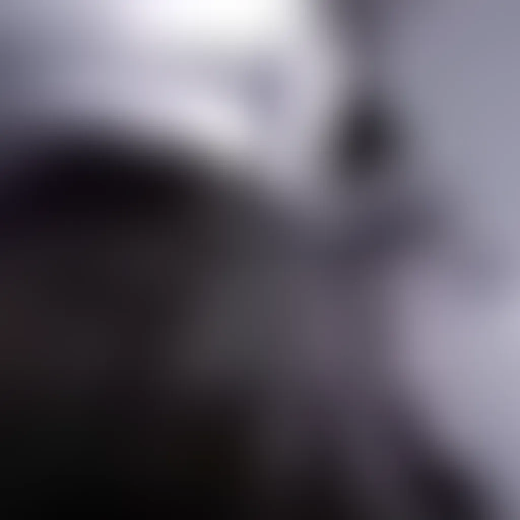 Slide image 2