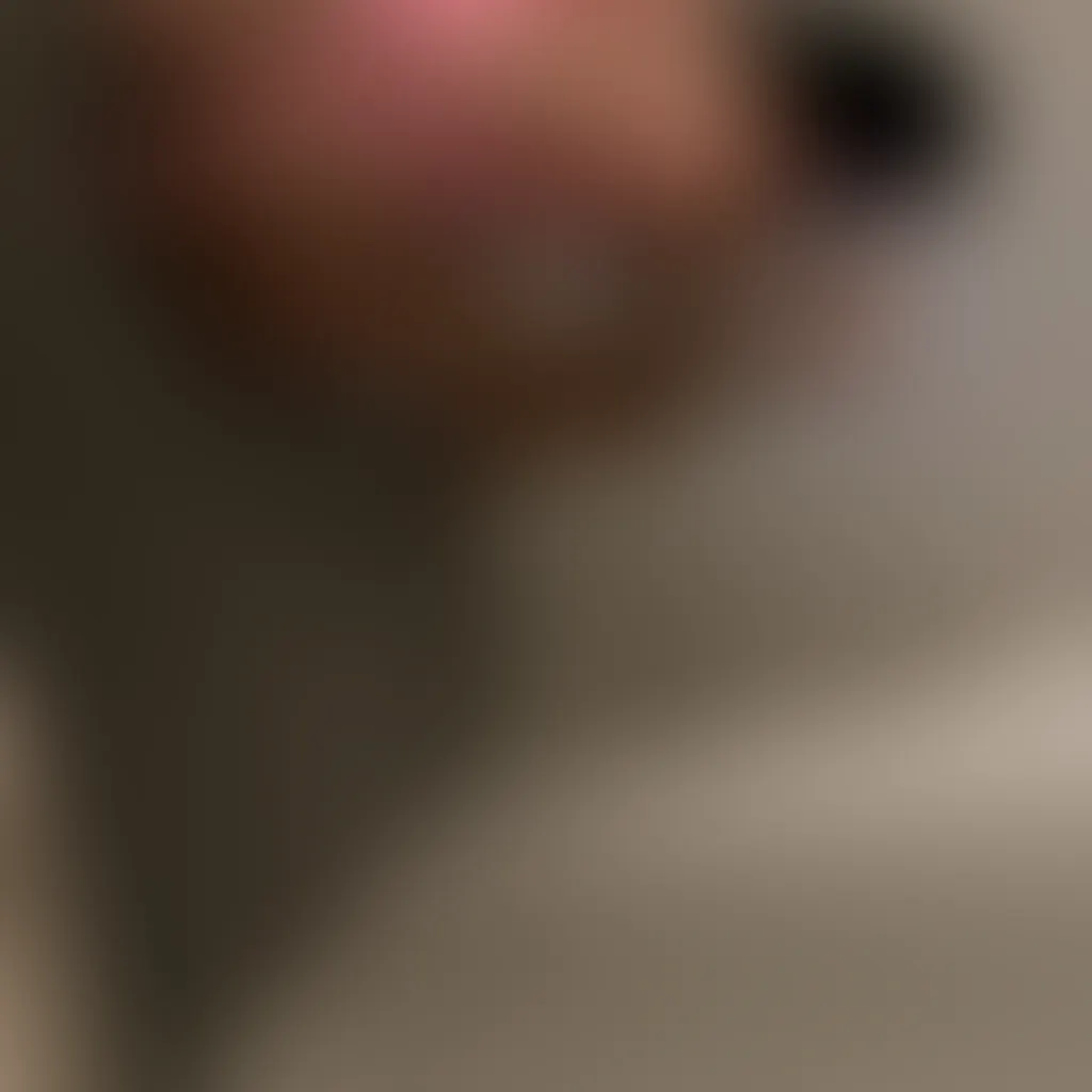 Slide image 9