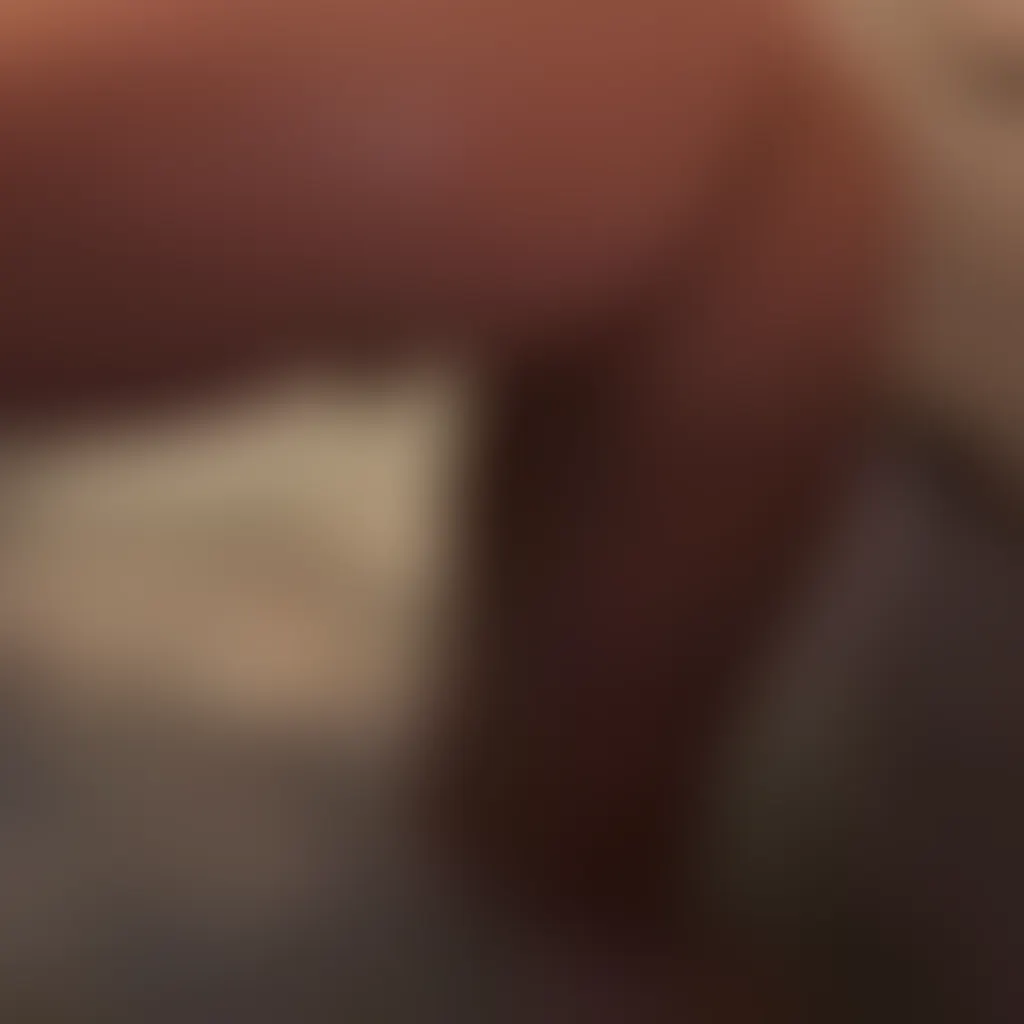 Slide image 2