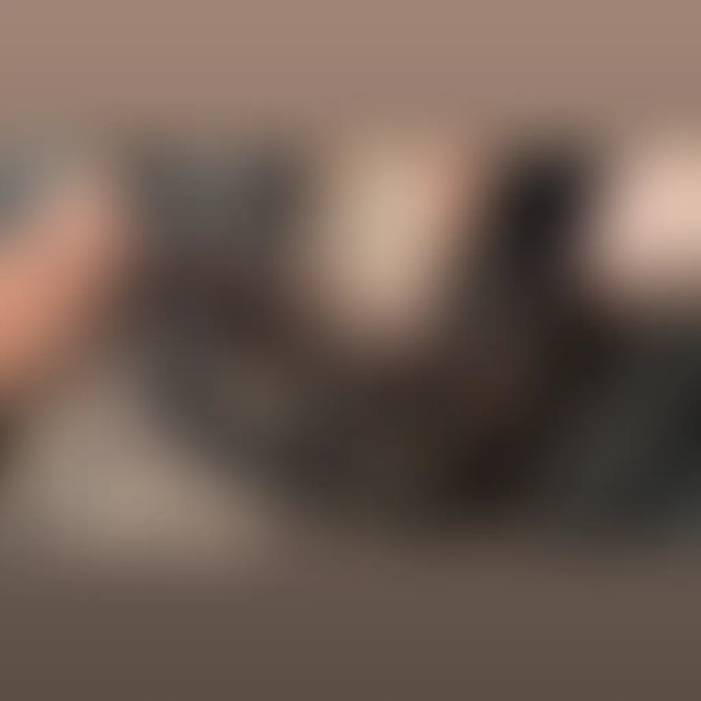 Slide image 2