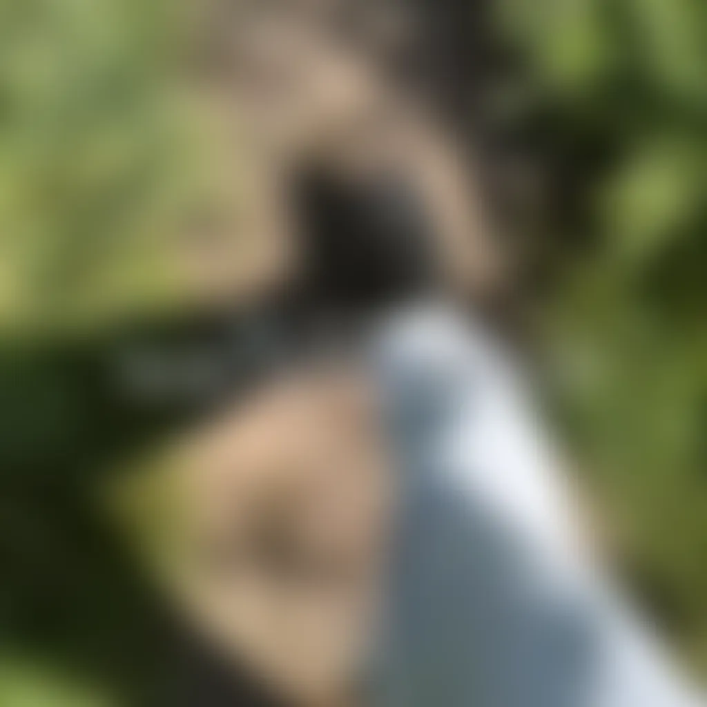 Slide image 1