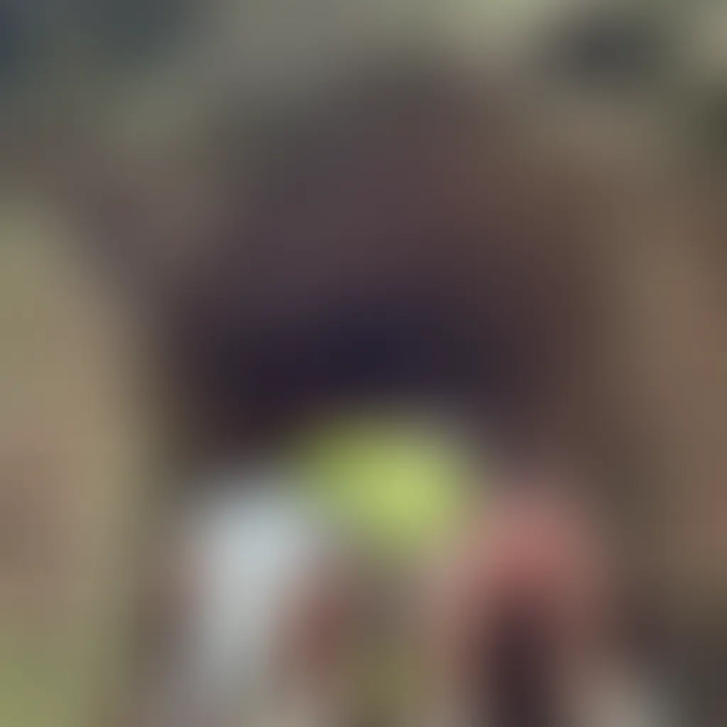 Slide image 1
