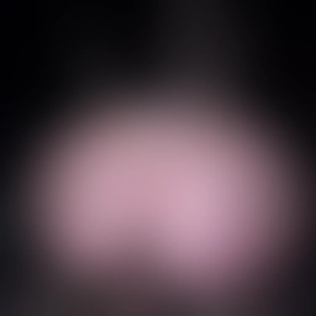Slide image 4
