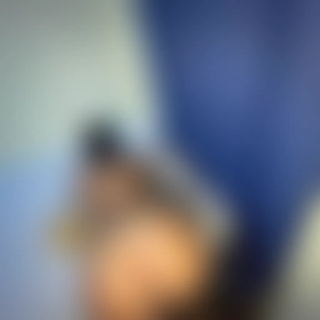 Slide image 4
