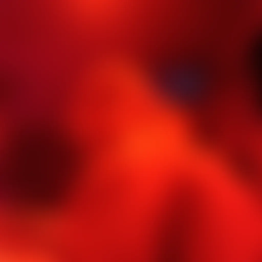 Slide image 3