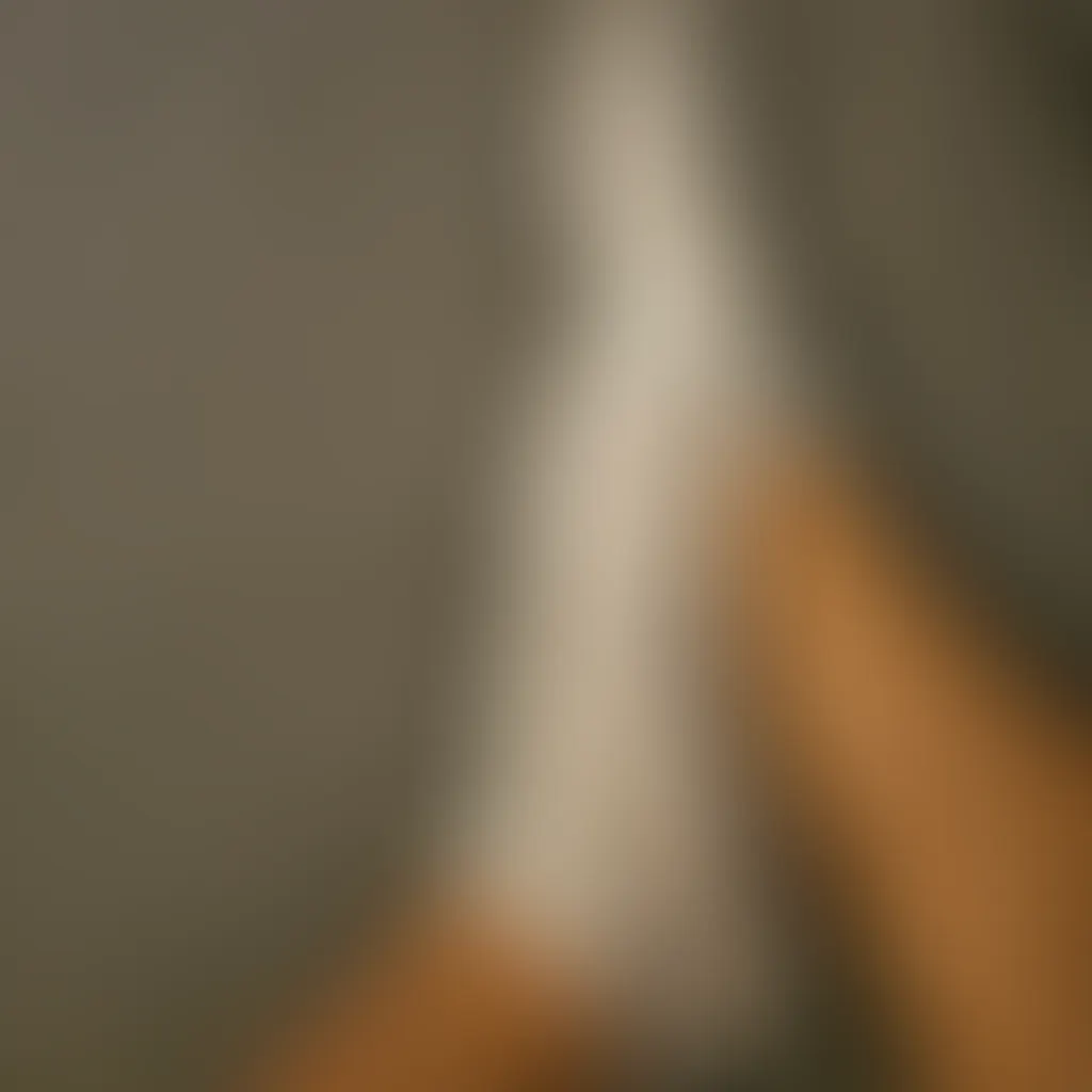Slide image 1