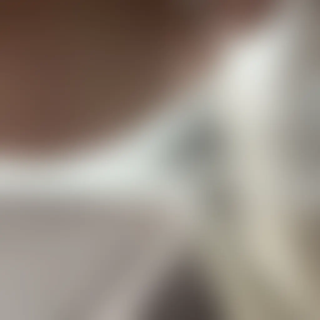 Slide image 3