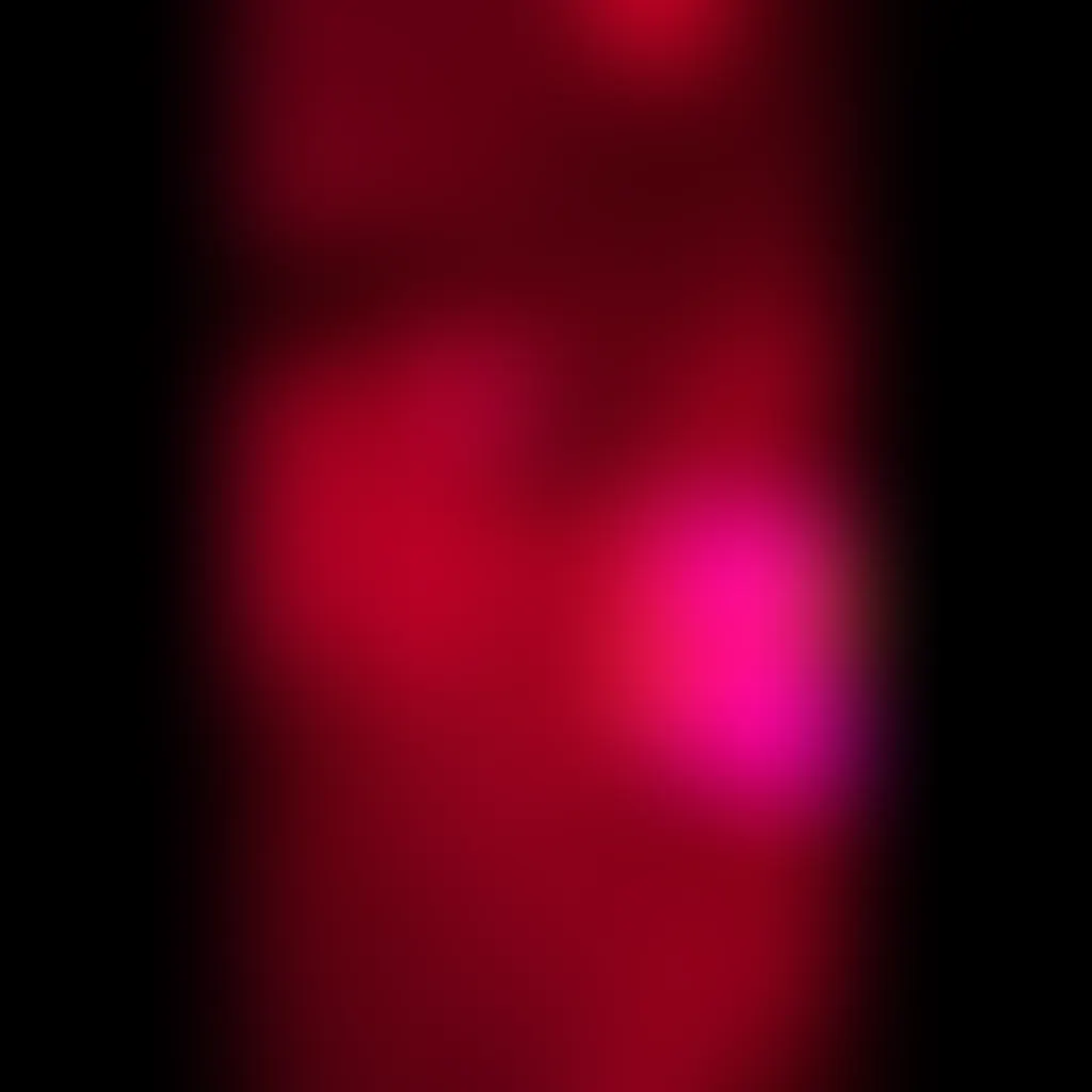 Slide image 2