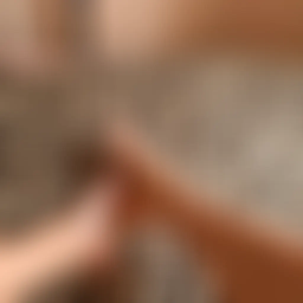 Slide image 2