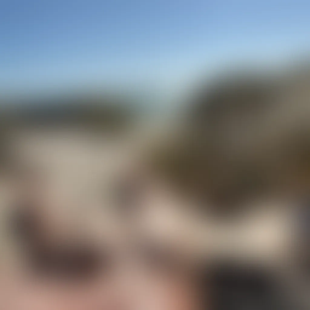 Slide image 4