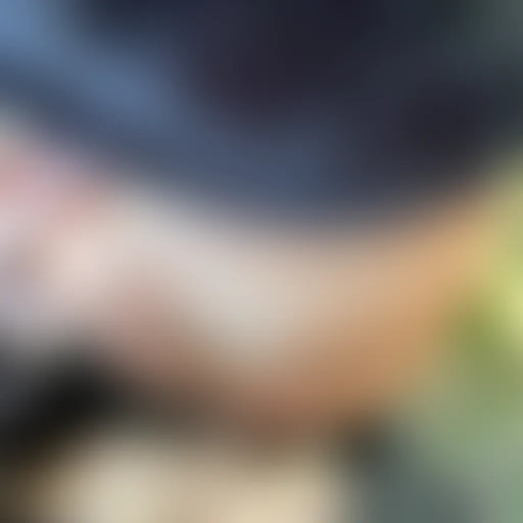Slide image 3