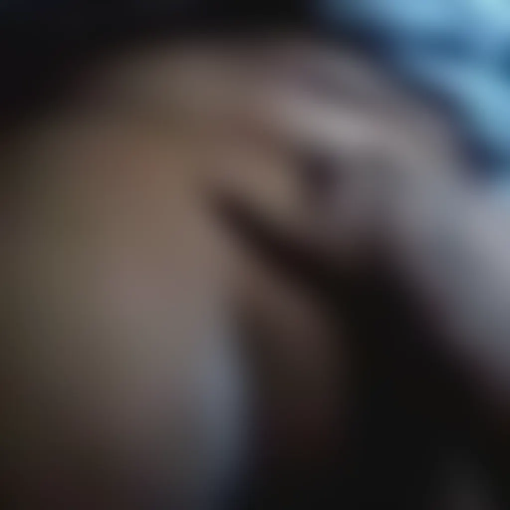 Slide image 2
