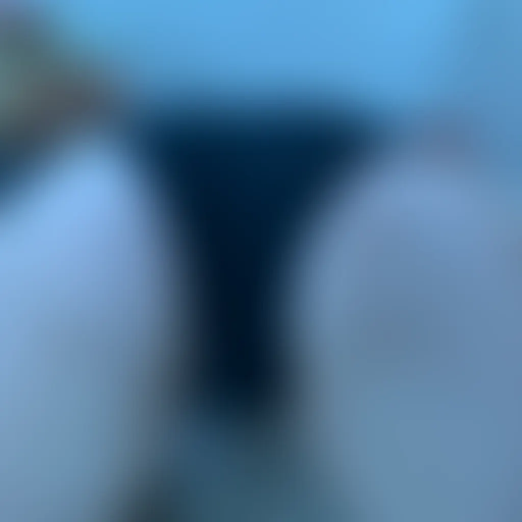 Slide image 4