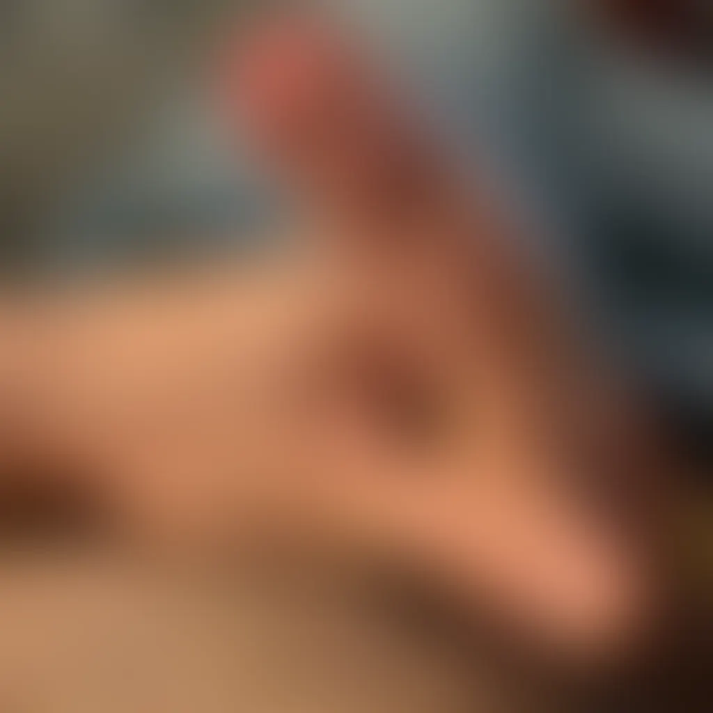 Slide image 5
