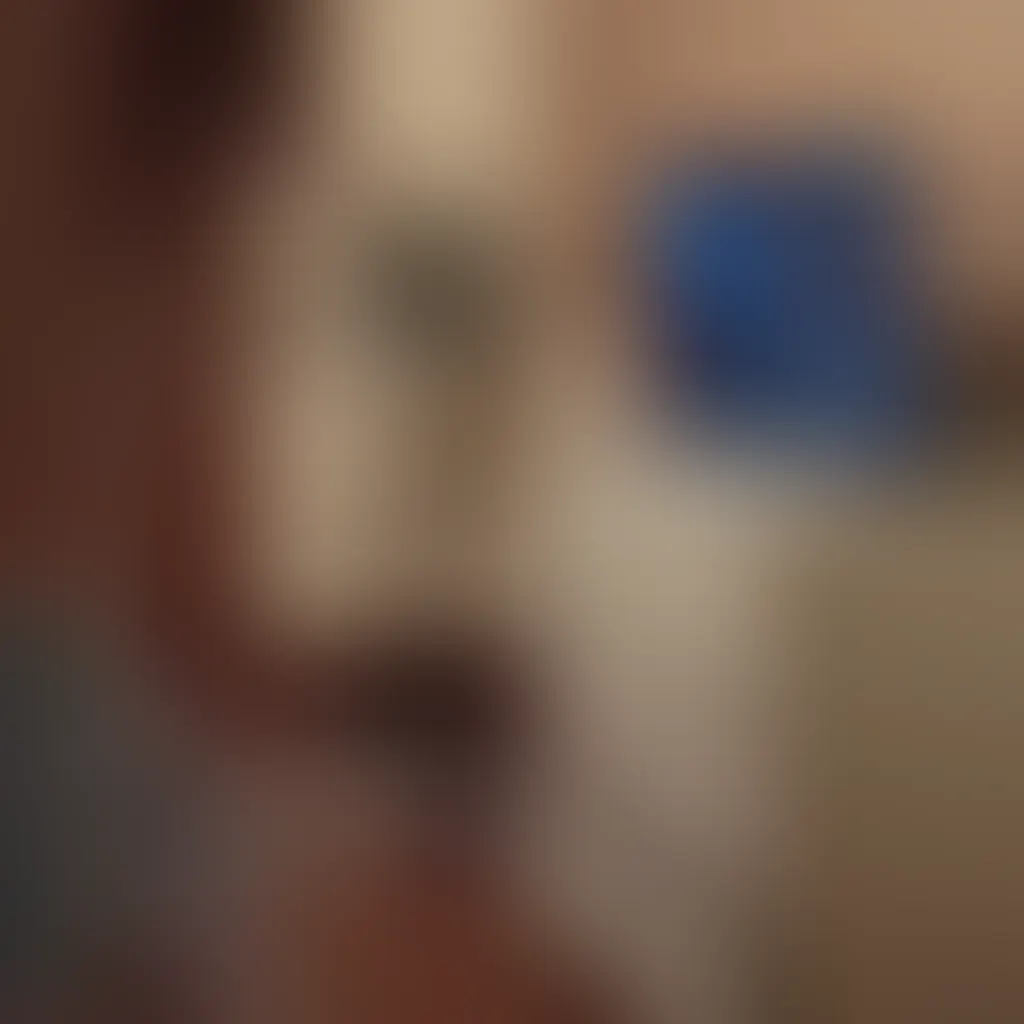 Slide image 2