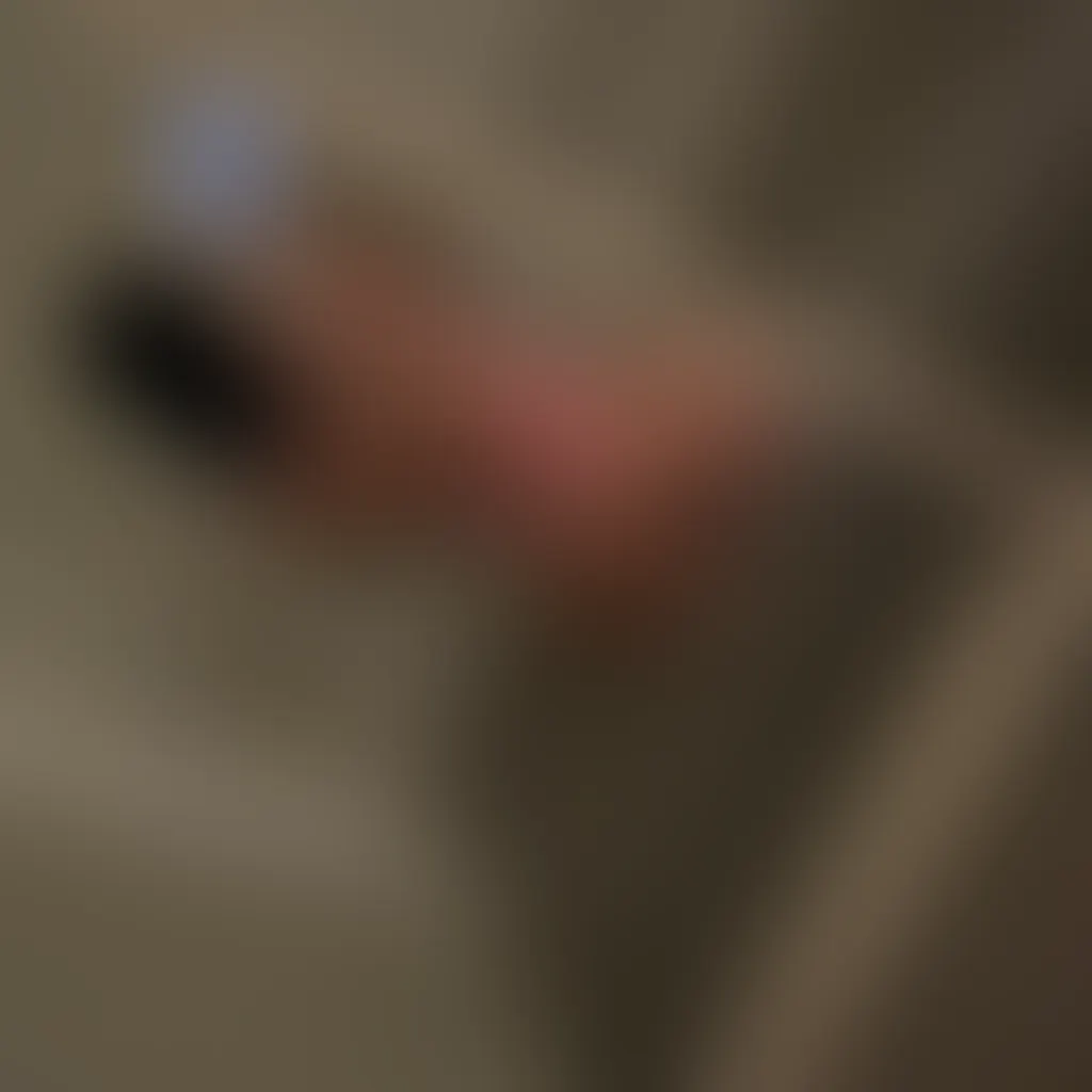 Slide image 3