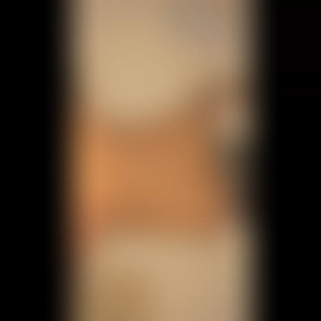 Slide image 2