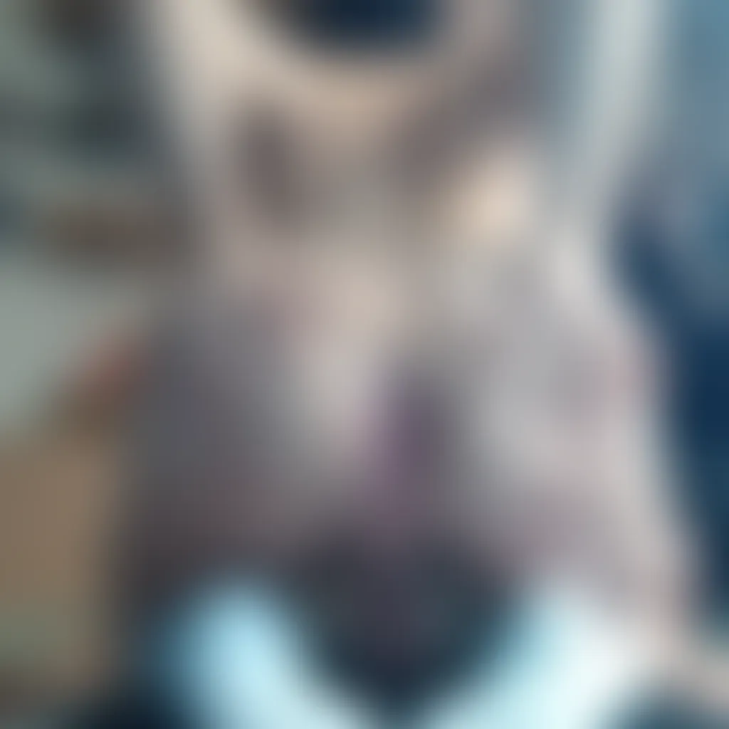 Slide image 1