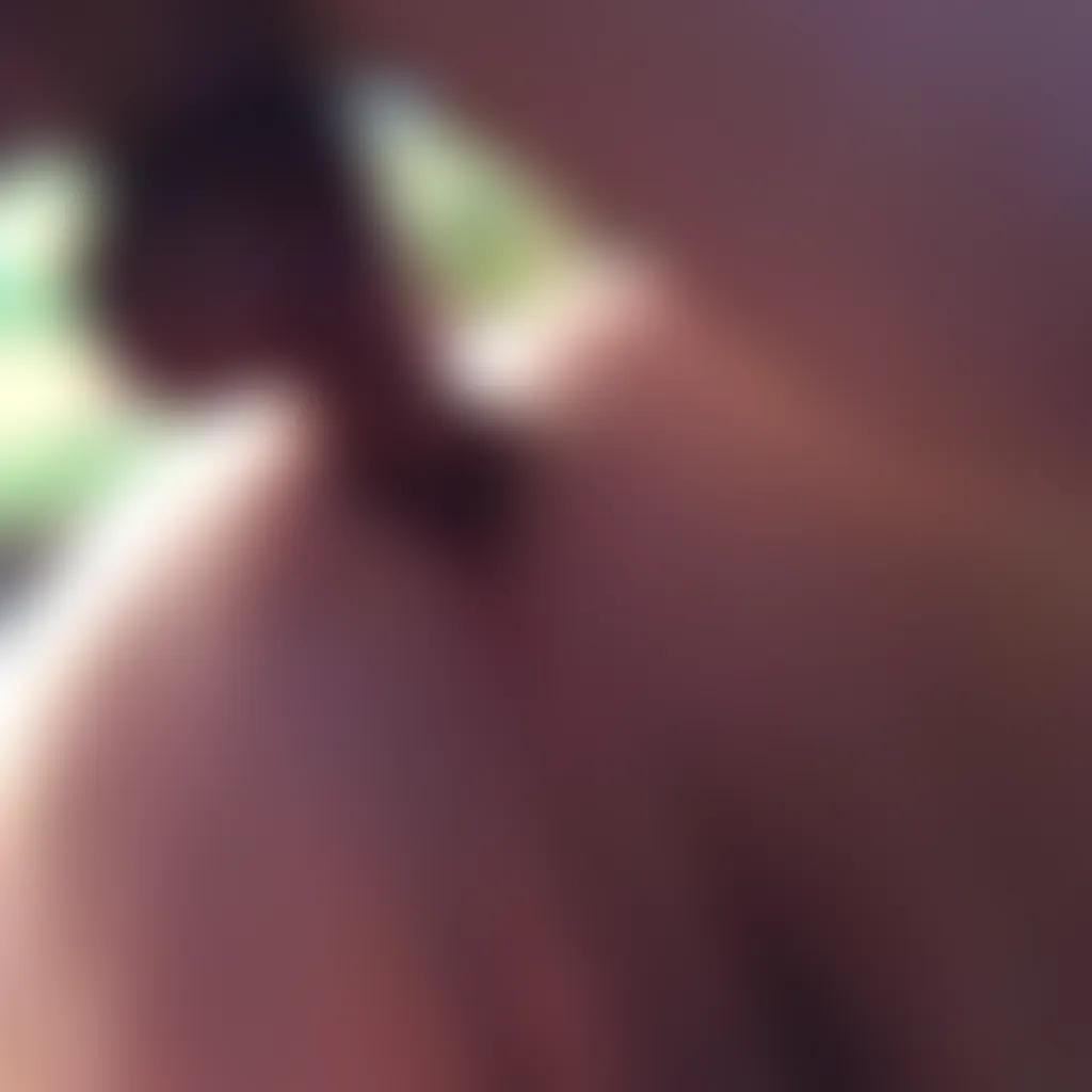 Slide image 8