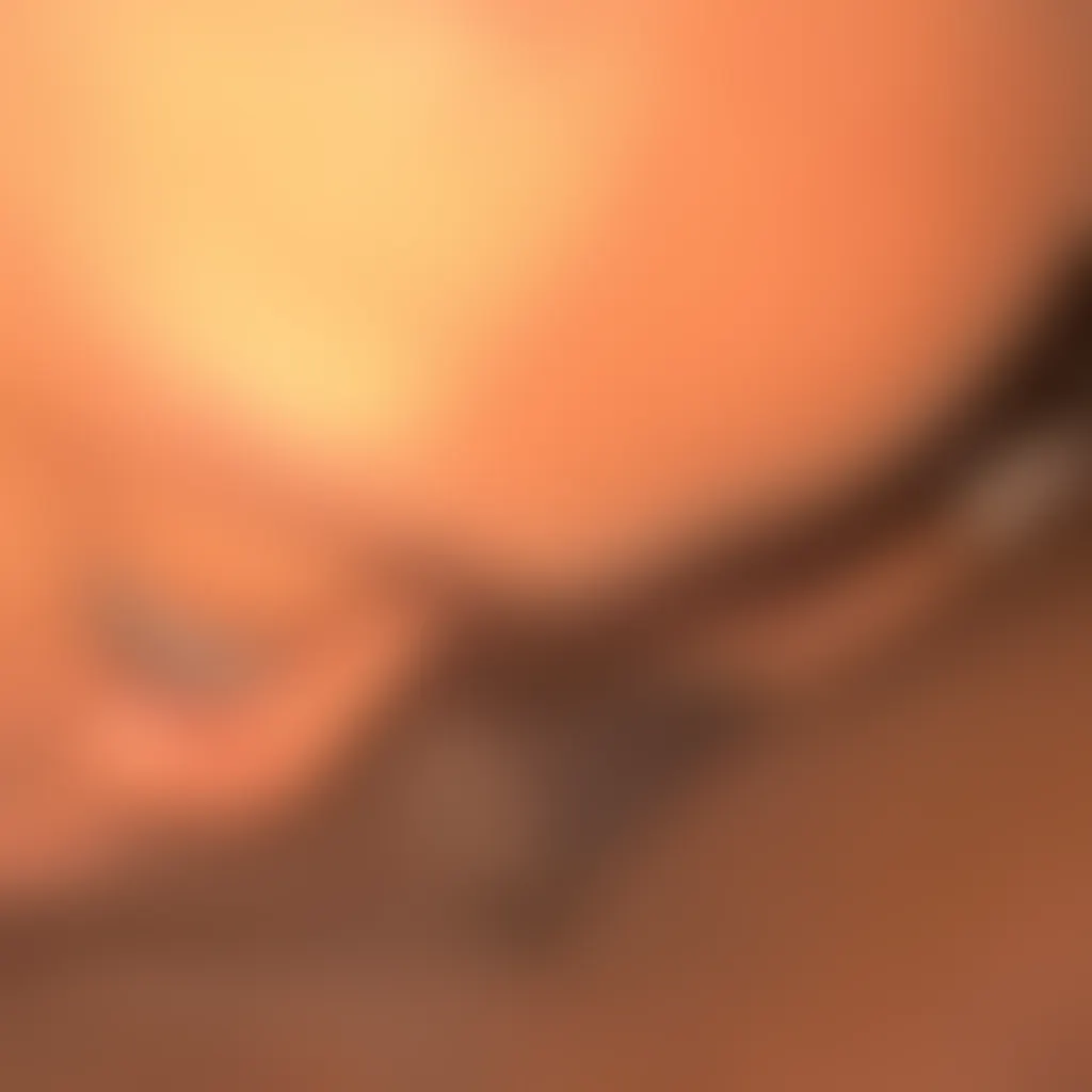 Slide image 2